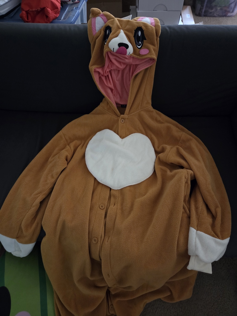 Corgi Kigu